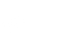 NJ Dlamini Foundation